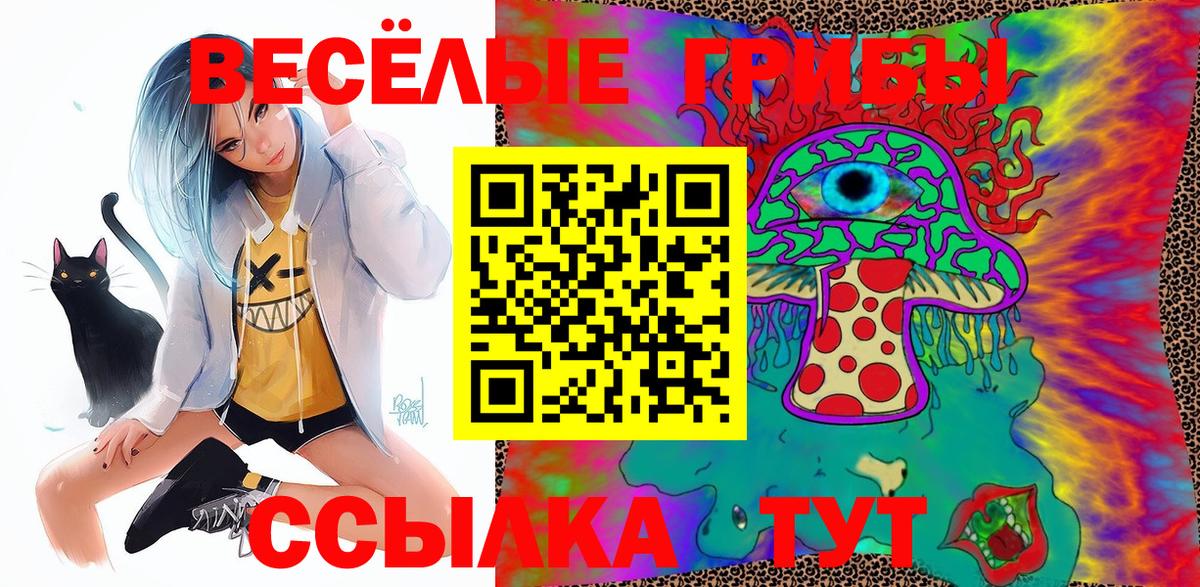 Псилоцибиновые грибы прущие грибы Тосно